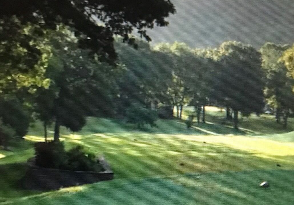 Photo of Others in Table Rock