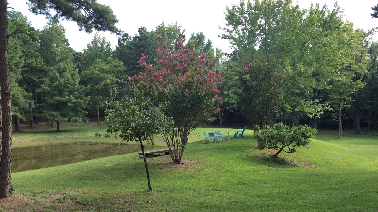 Photo of Outdoor in Heber Springs