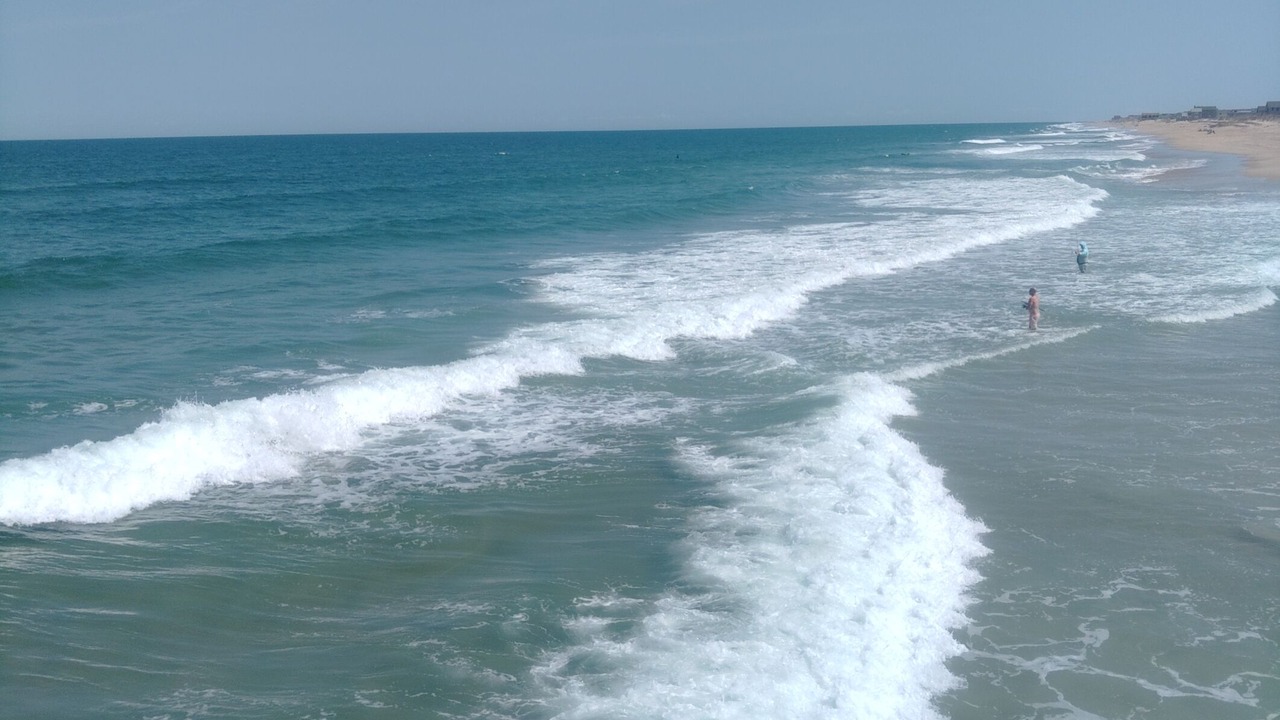 Photo of Others in South Nags Head