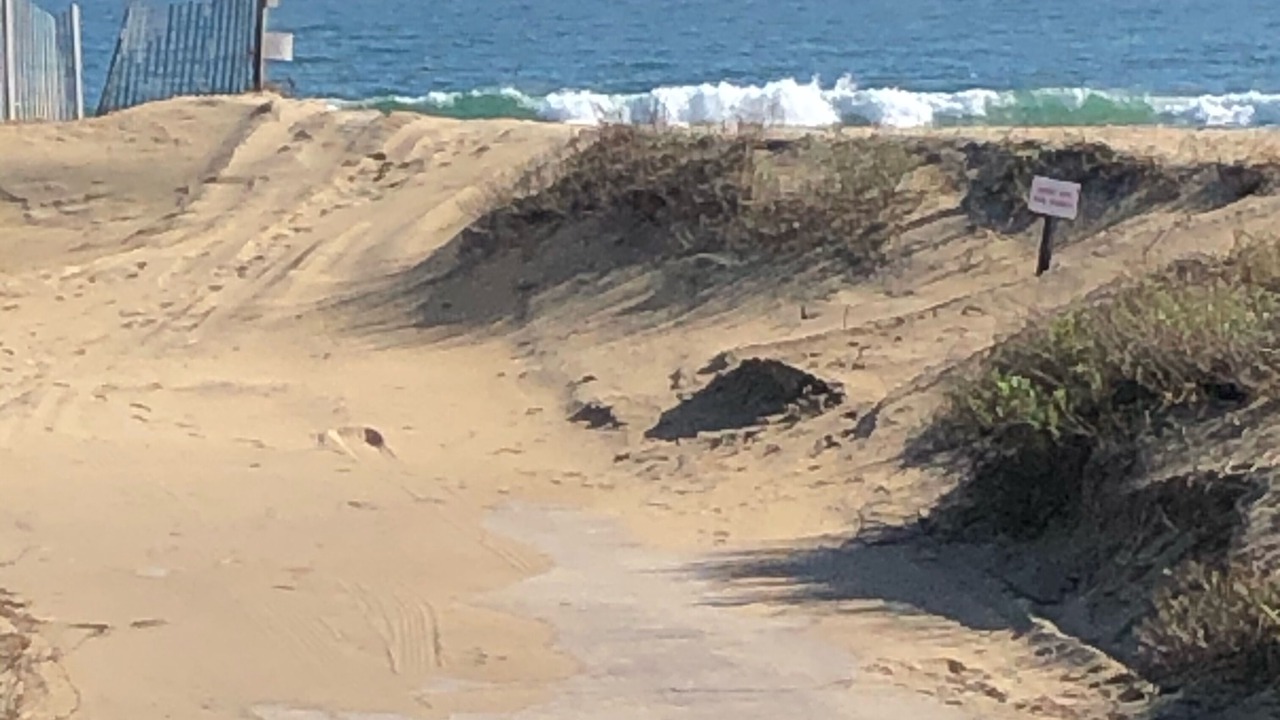 Photo of Others in South Nags Head
