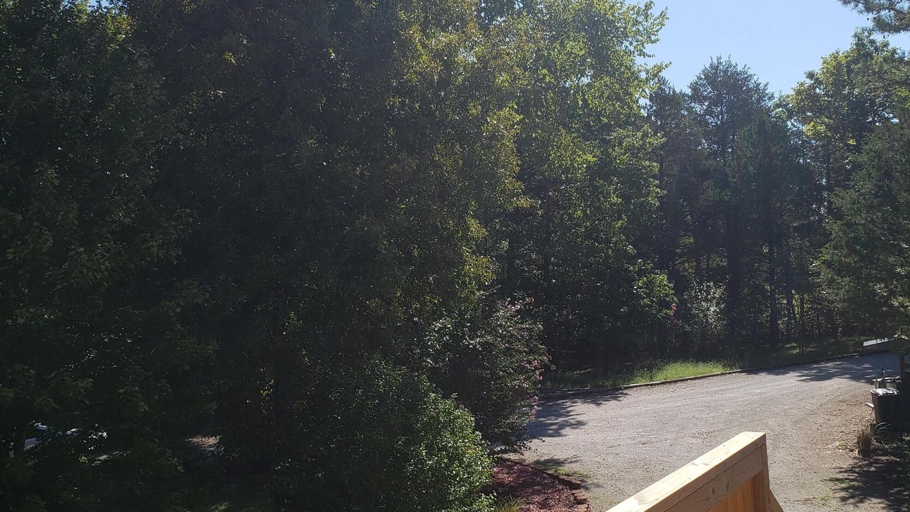 Photo of Others in Kirbyville