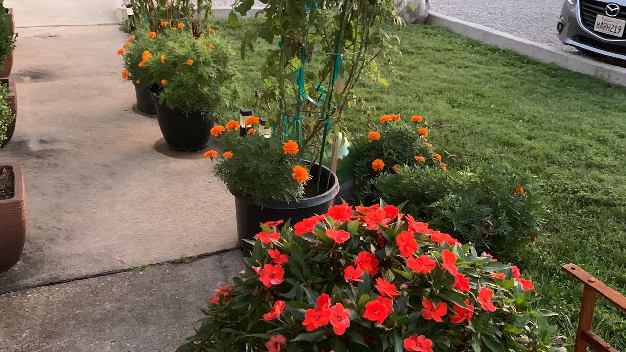 Photo of Outdoor in Butchertown