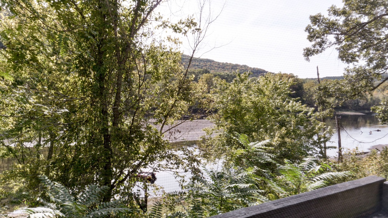 Photo of Others in Table Rock
