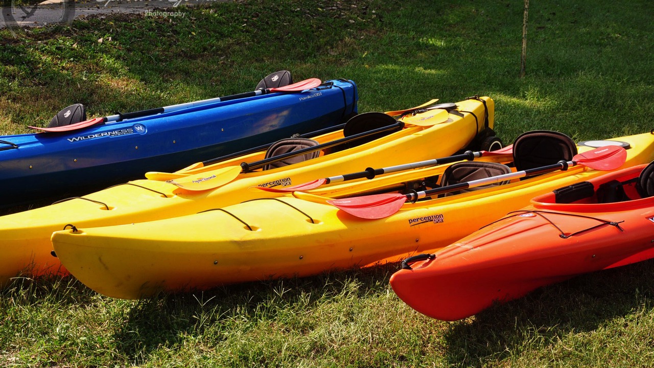 Photo of Others in West Shore