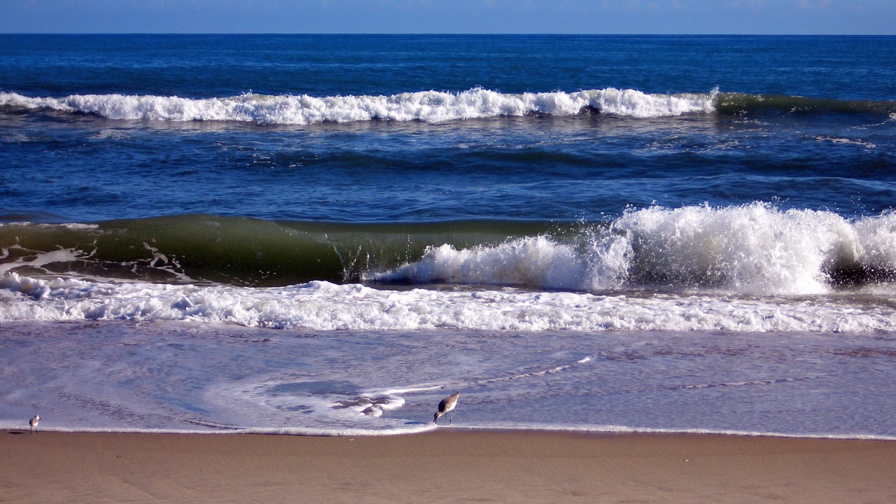 Photo of Others in Hatteras