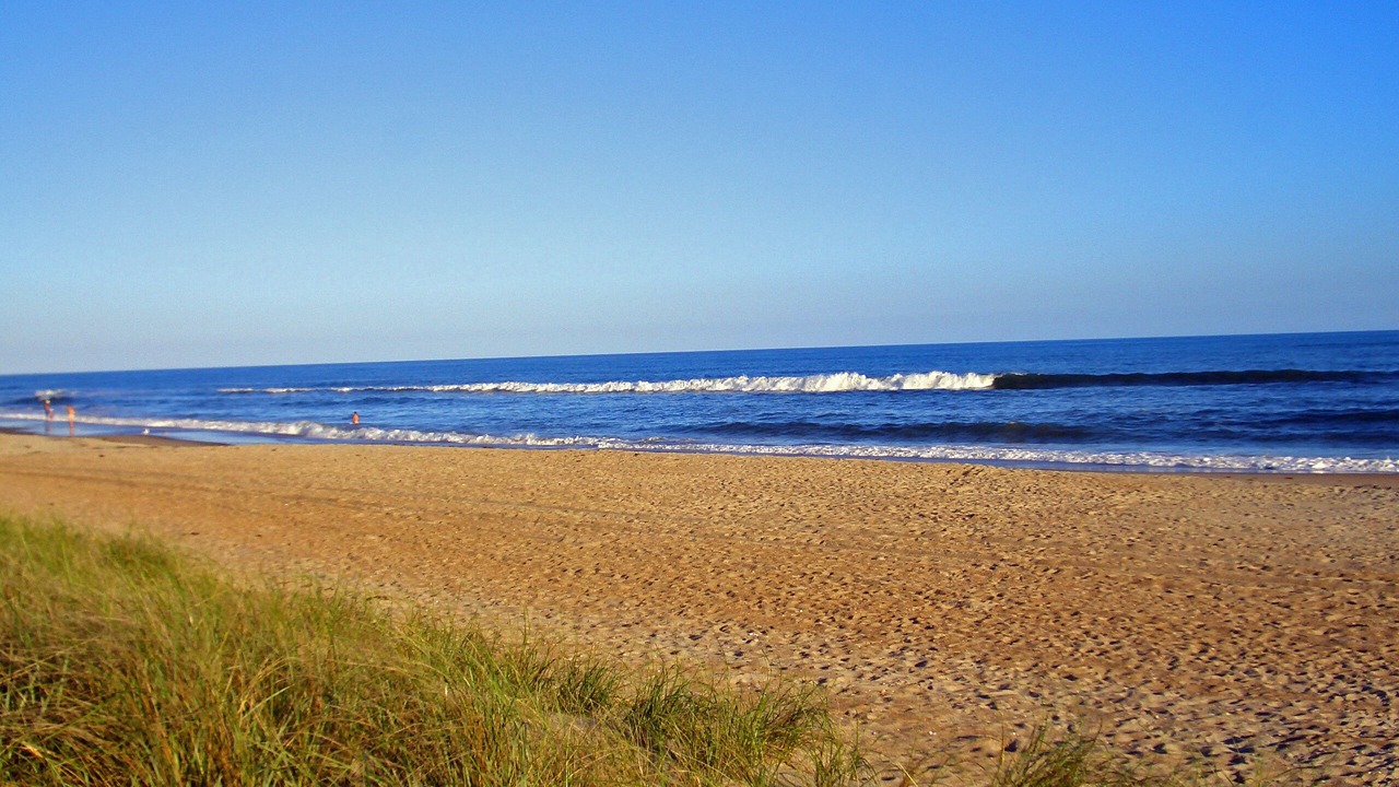 Photo of Others in Hatteras
