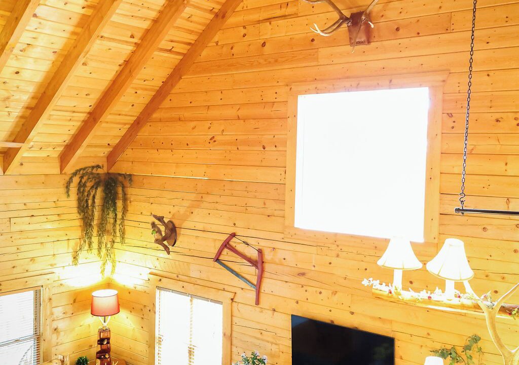 Photo of Livingroom in Blue Eye