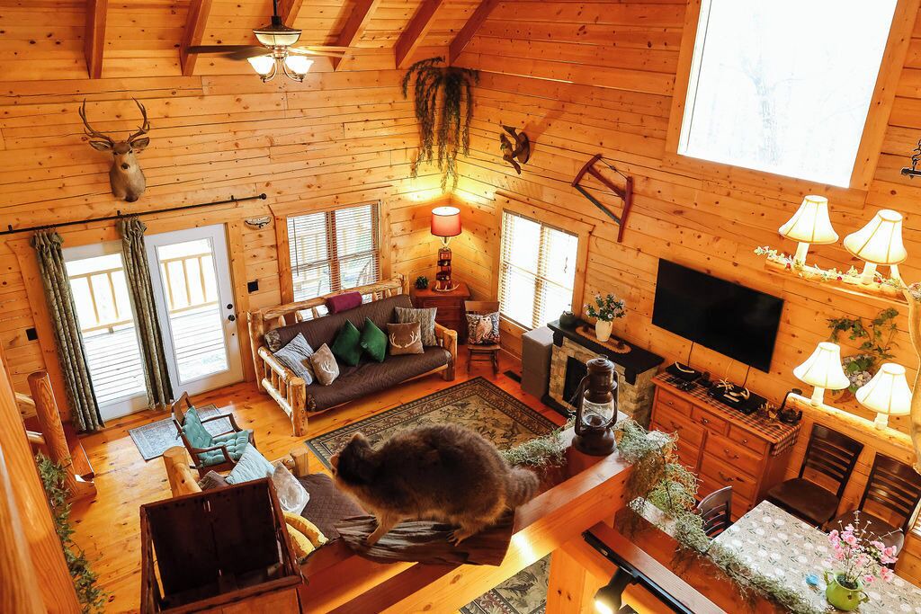 Photo of Livingroom in Blue Eye