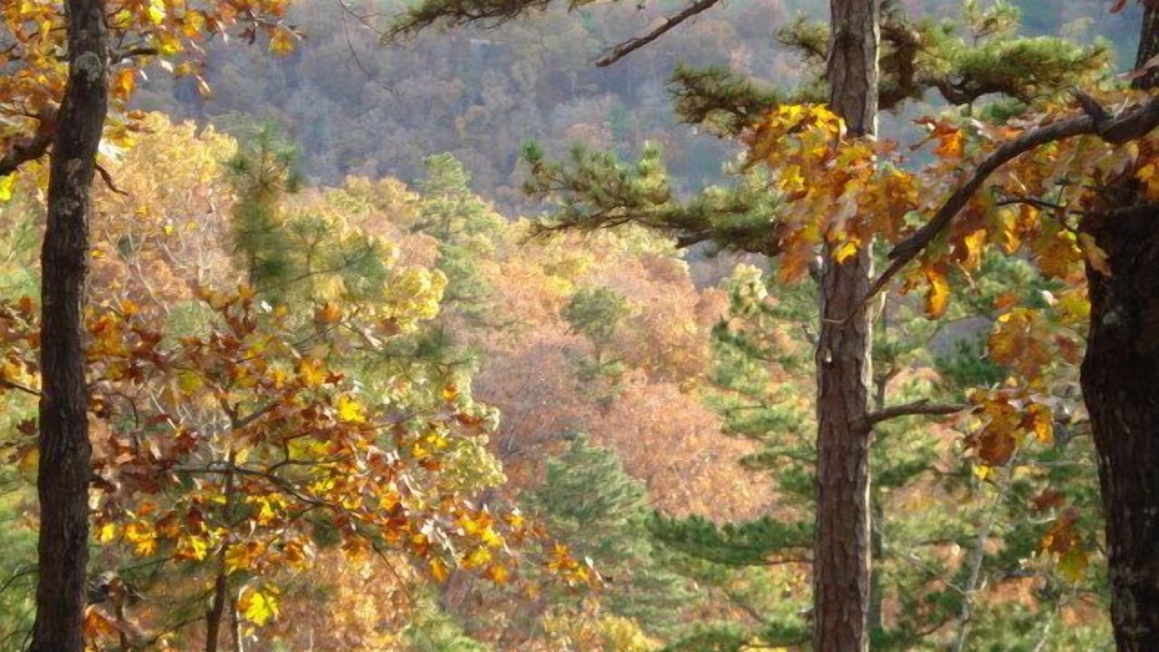 Photo of Outdoor in Blue Eye