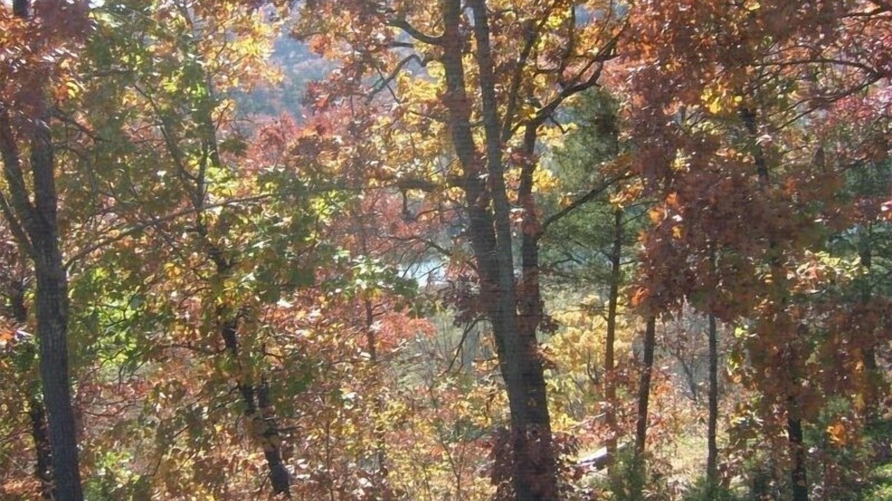 Photo of Outdoor in Table Rock