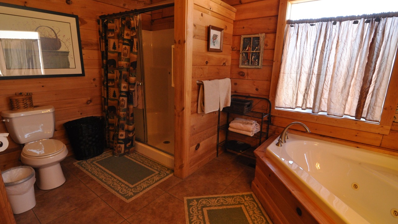 Photo of Bathroom in Branson Cedars