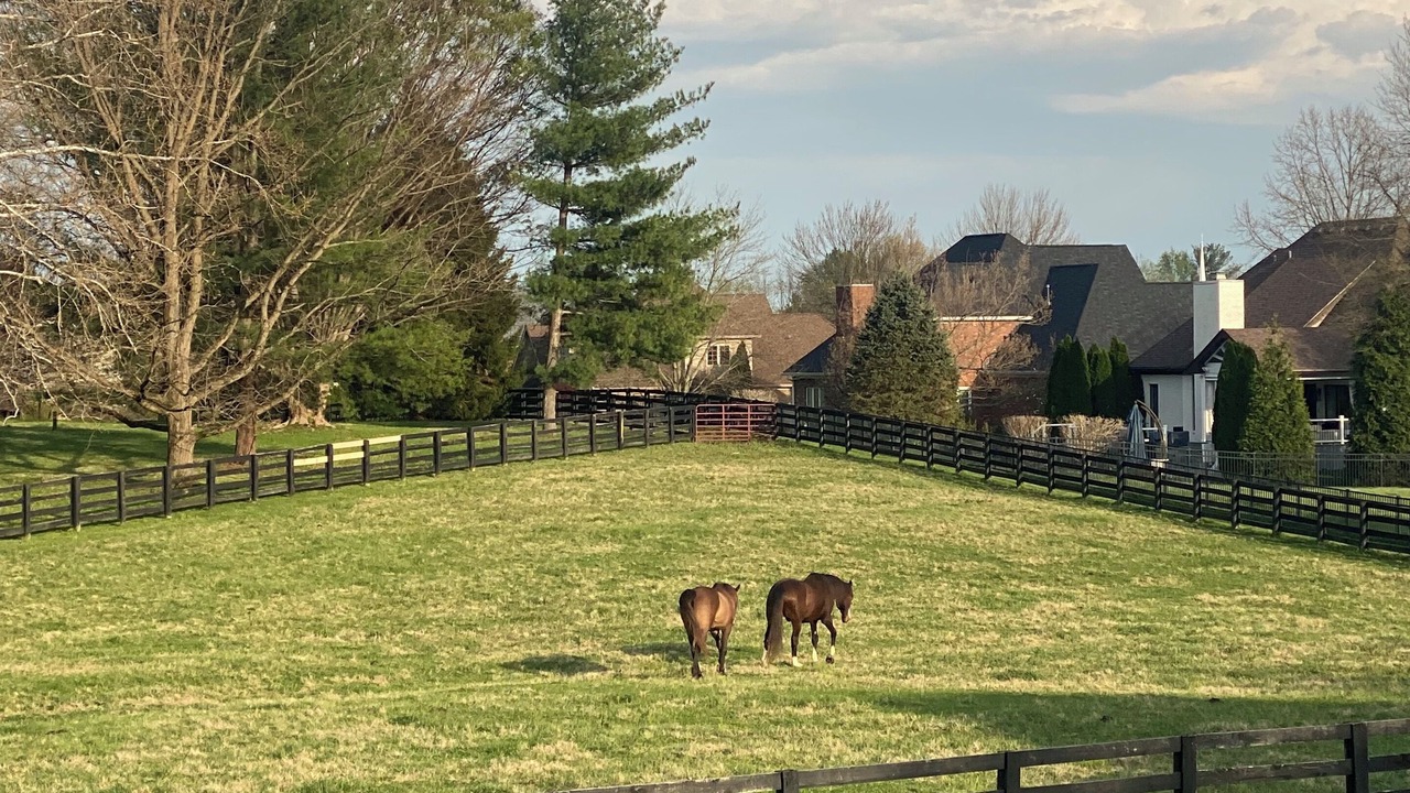 Photo of Others in Prospect