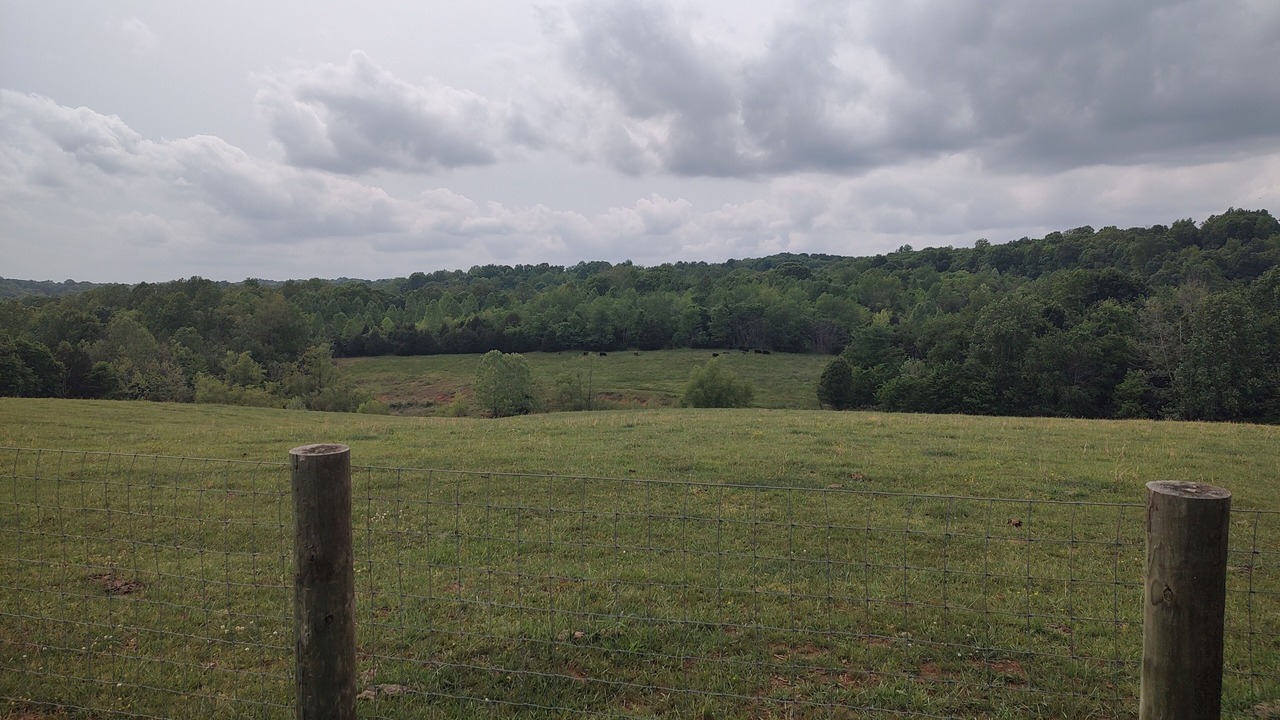 Photo of Others in Dickson County