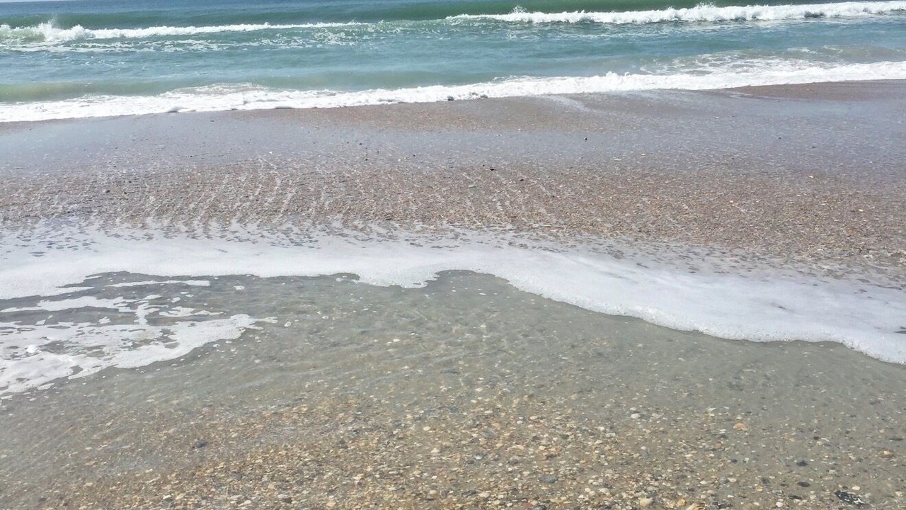 Photo of Others in Morehead City