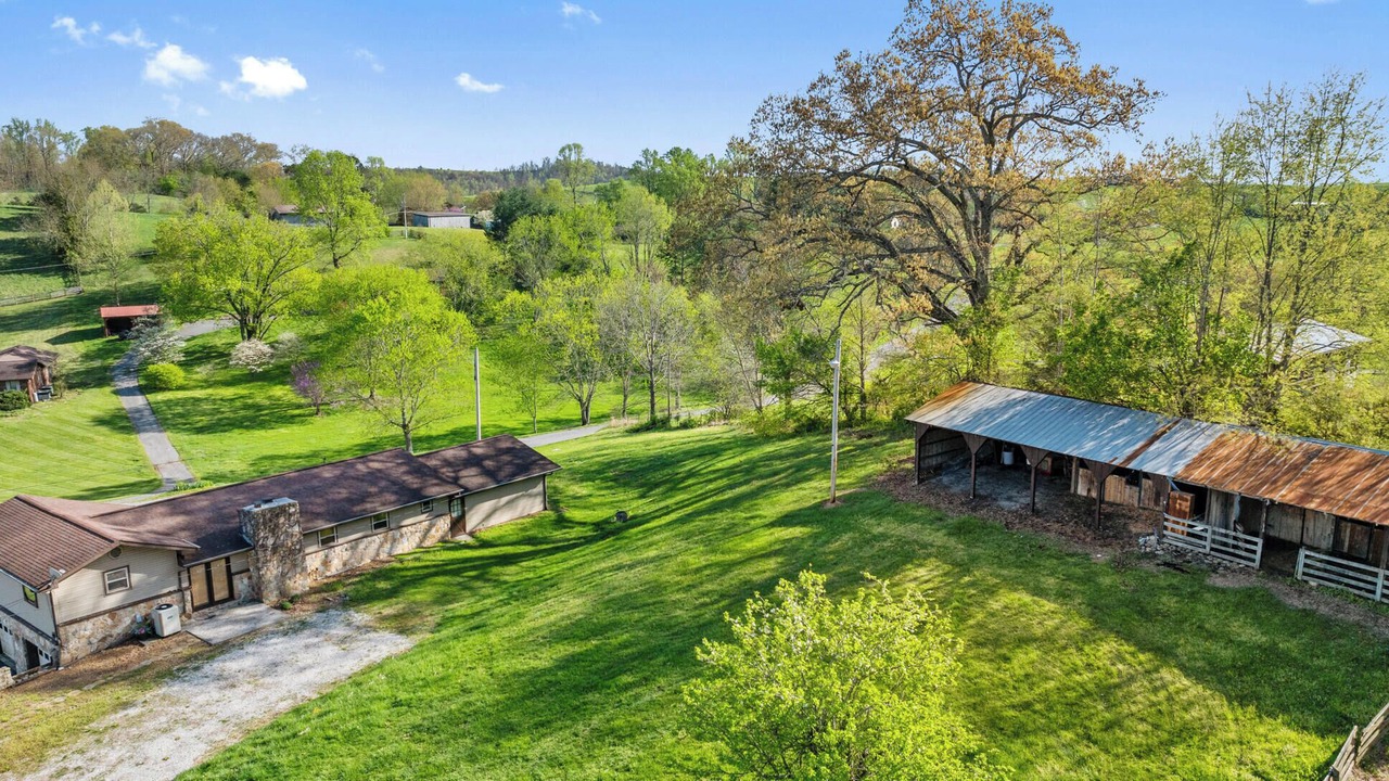Photo of Outdoor in New Tazewell