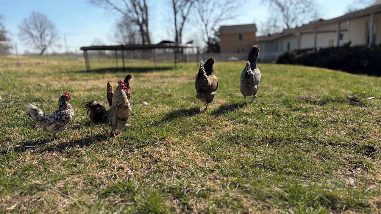 Photo of Others in Lansing