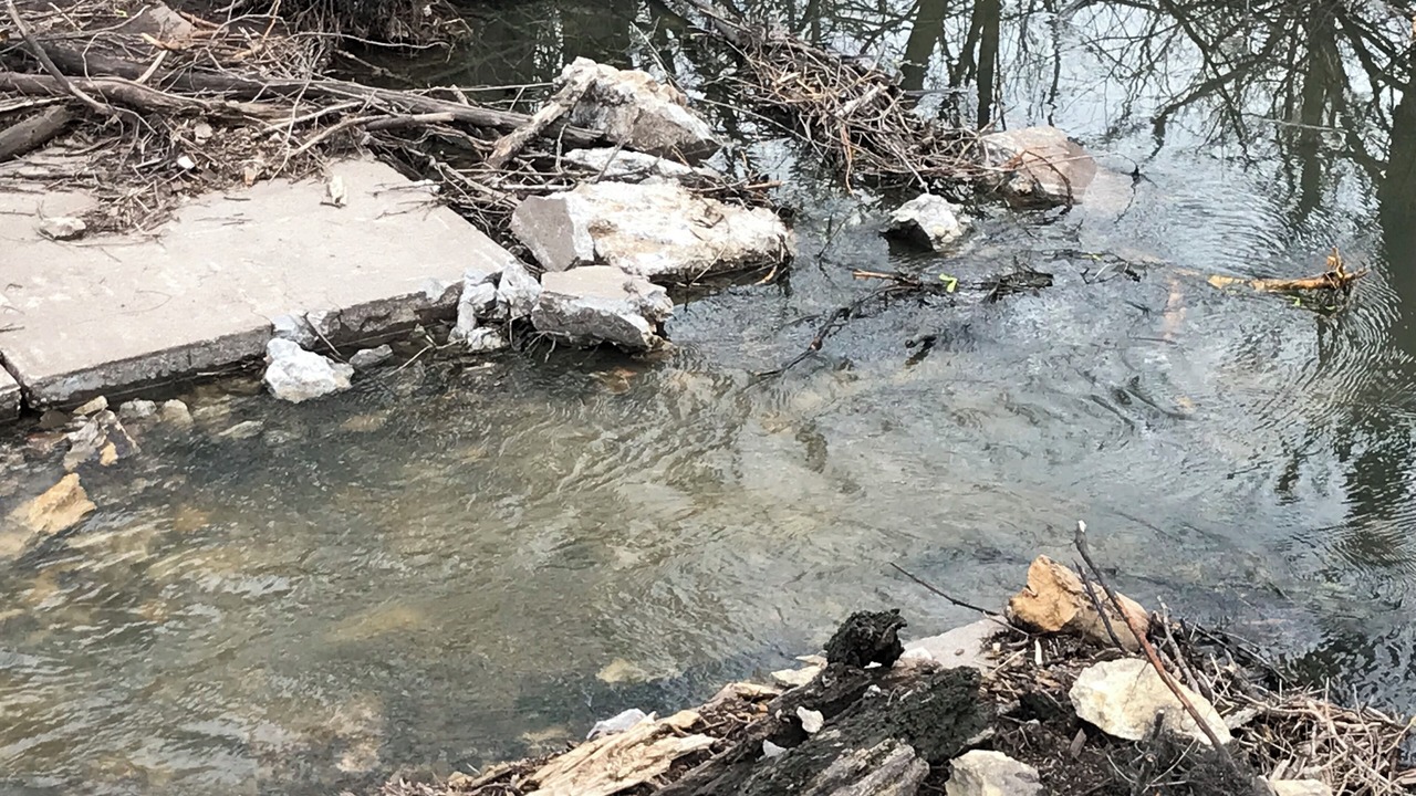 Photo of Others in Clinton County