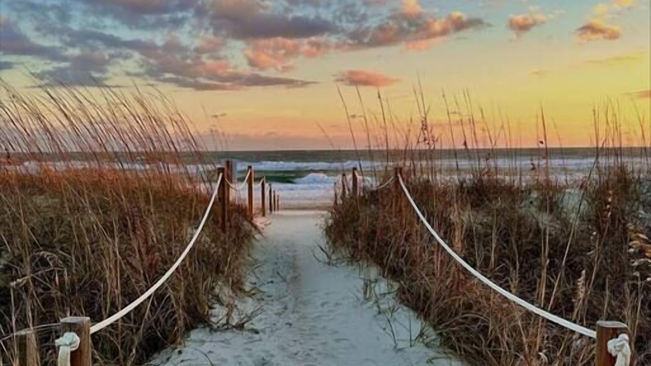 Photo of Others in Emerald Isle