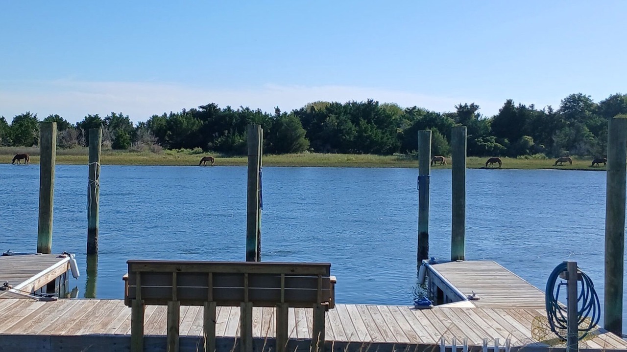 Photo of Others in Morehead City