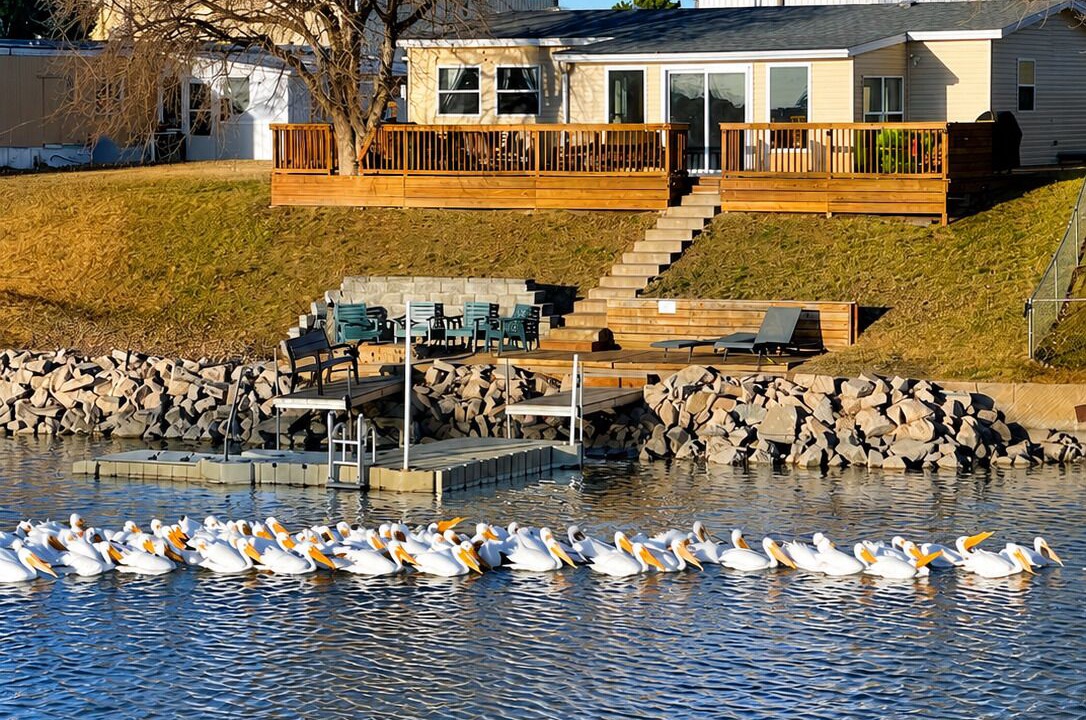 Photo of Outdoor in Elwood