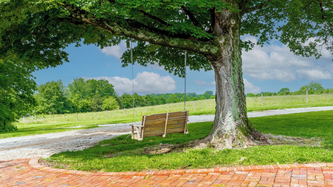 Photo of Outdoor in Shelbyville