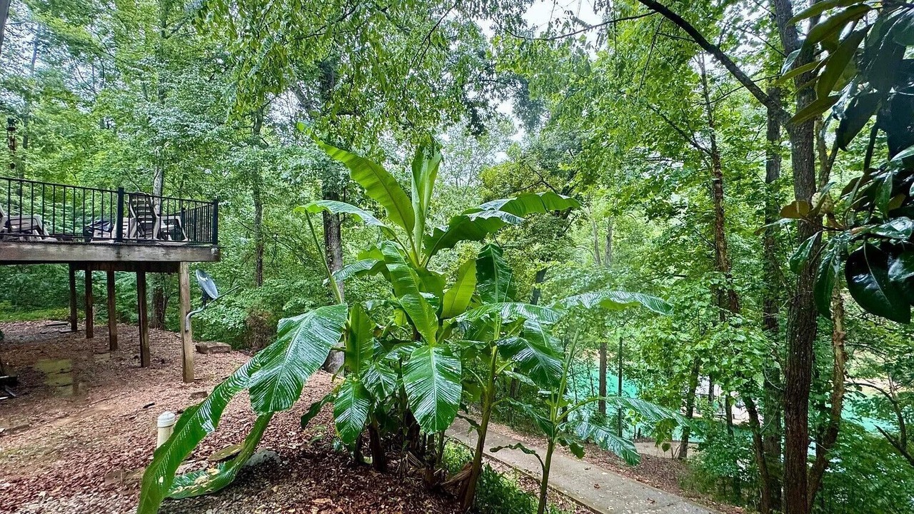 Photo of Outdoor in Big Creek