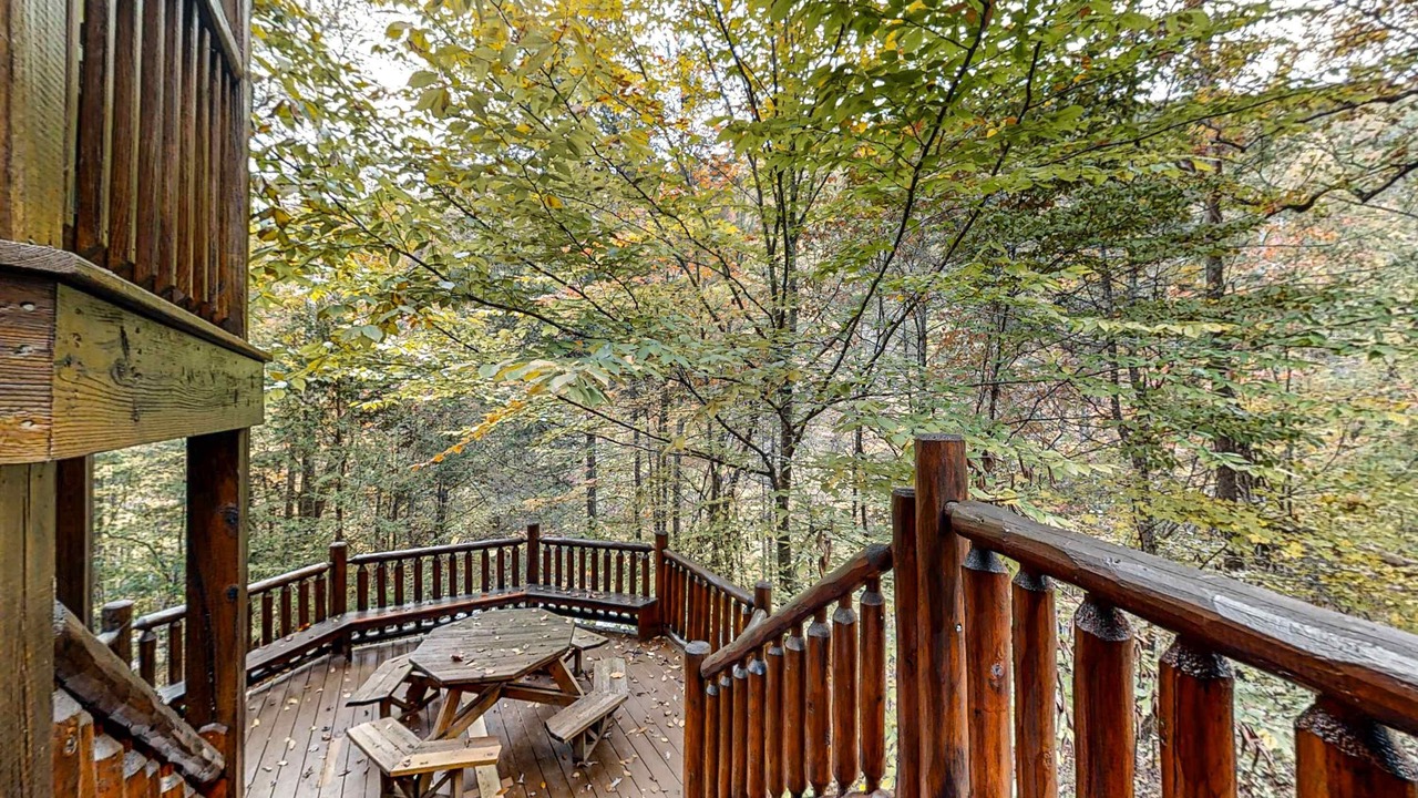 Photo of Outdoor in Sevierville