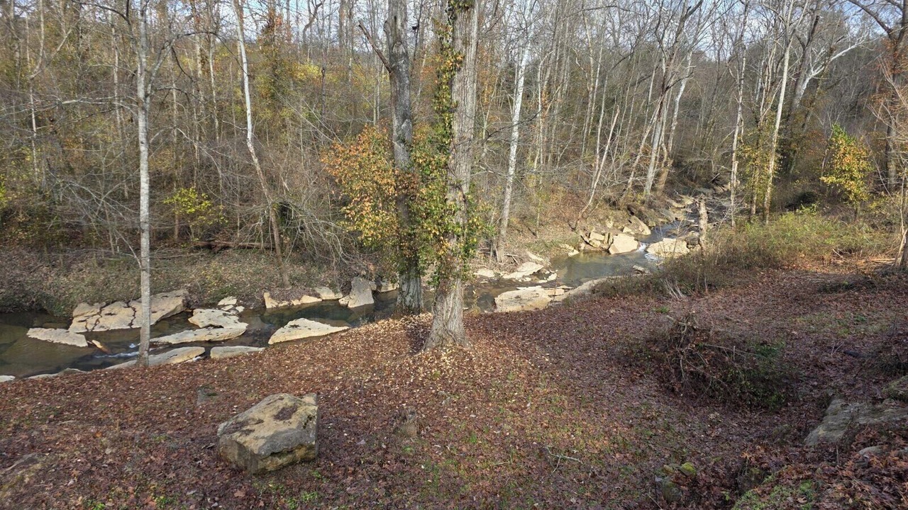 Photo of Others in Clay City