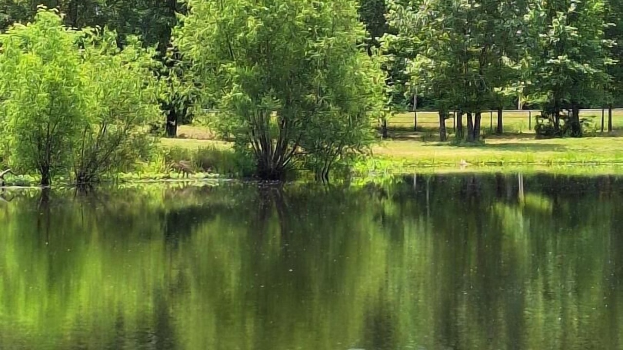 Photo of Others in Ringold