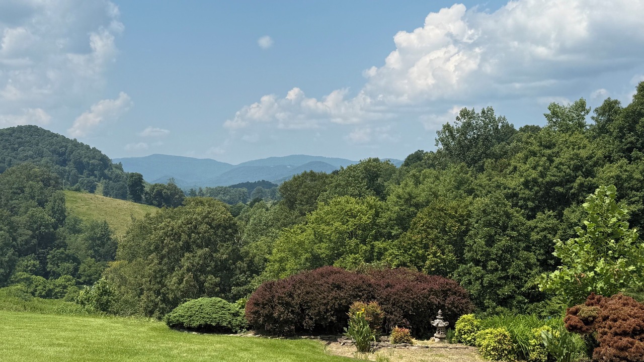Photo of Outdoor in Newcomb