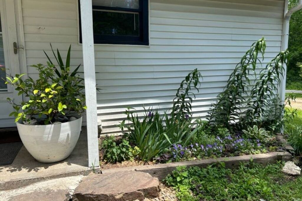Photo of Outdoor in Cobden