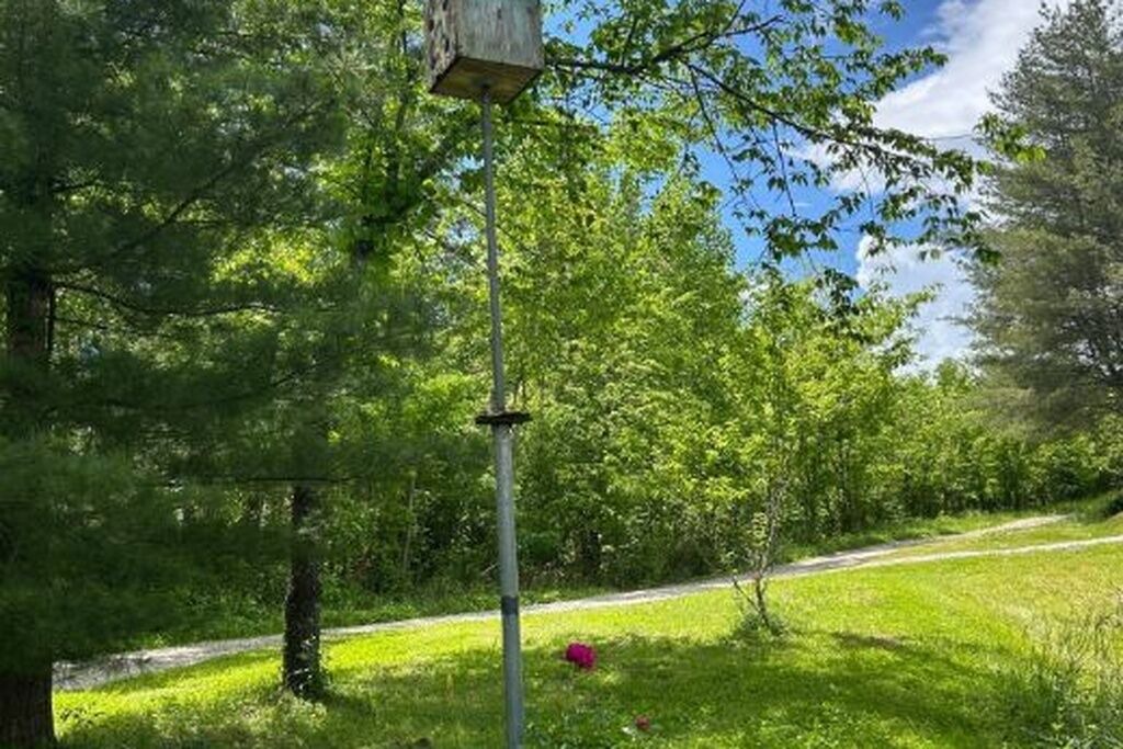 Photo of Others in Cobden