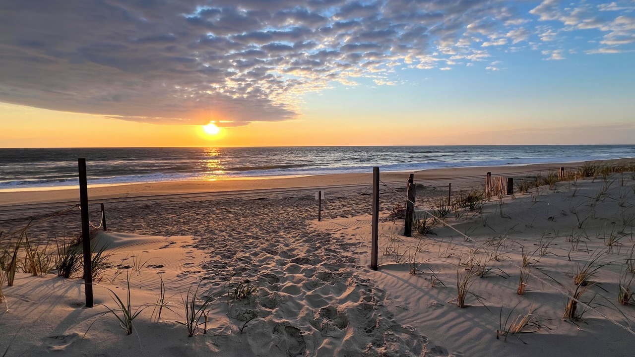 Photo of Others in South Nags Head