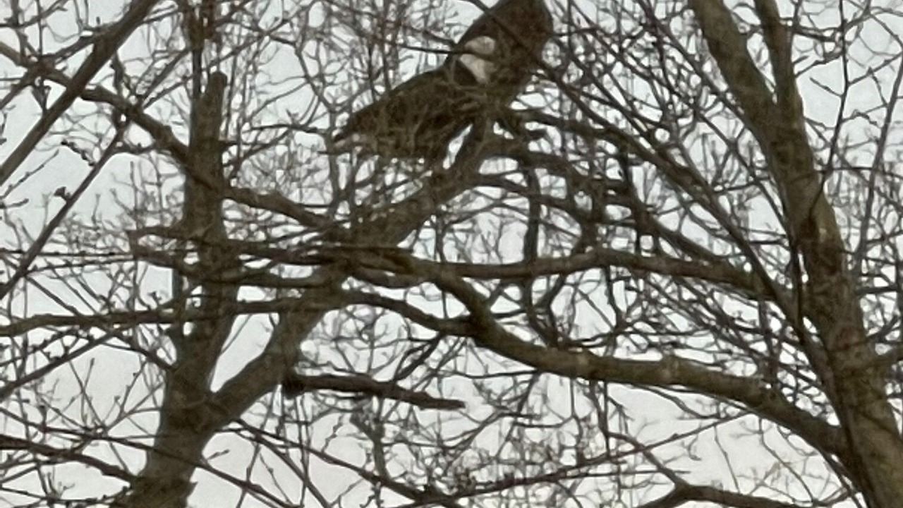 Photo of Others in Mauckport