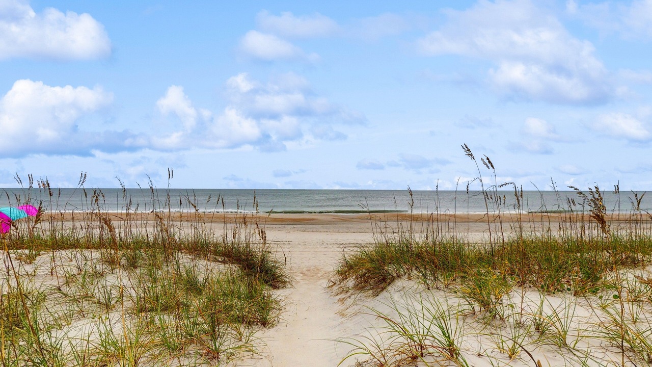 Photo of Others in Atlantic Beach