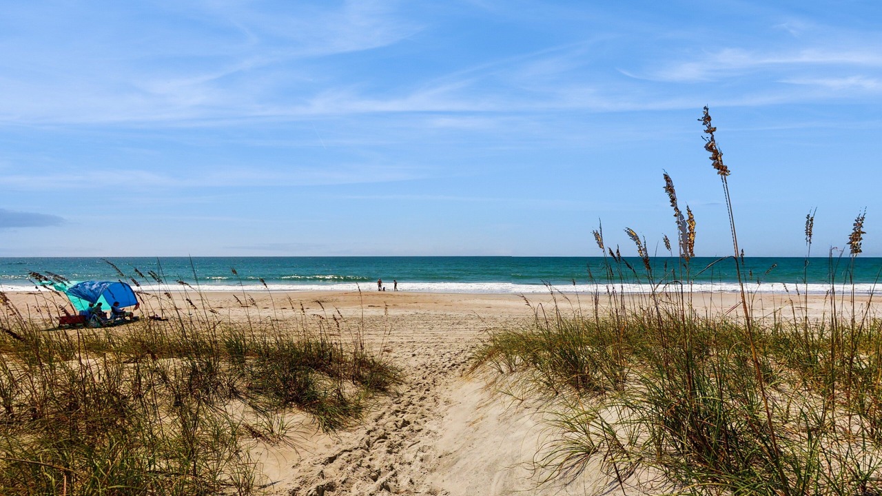 Photo of Others in Atlantic Beach