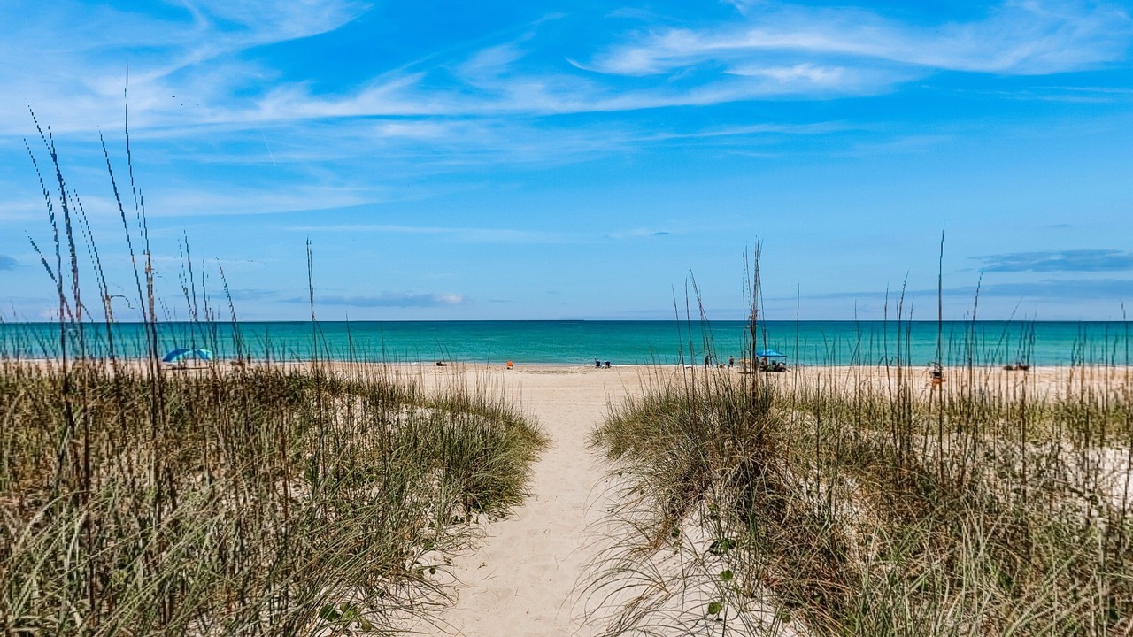 Photo of Others in Atlantic Beach