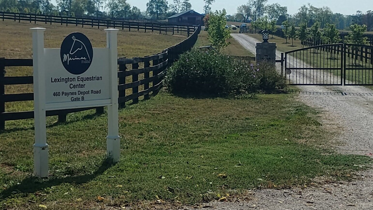 Photo of Others in Lexington