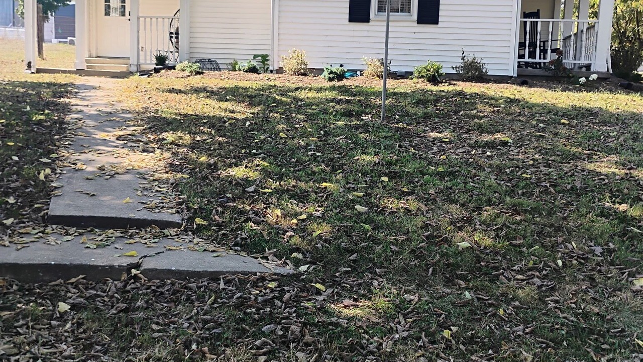 Photo of Outdoor in Lexington