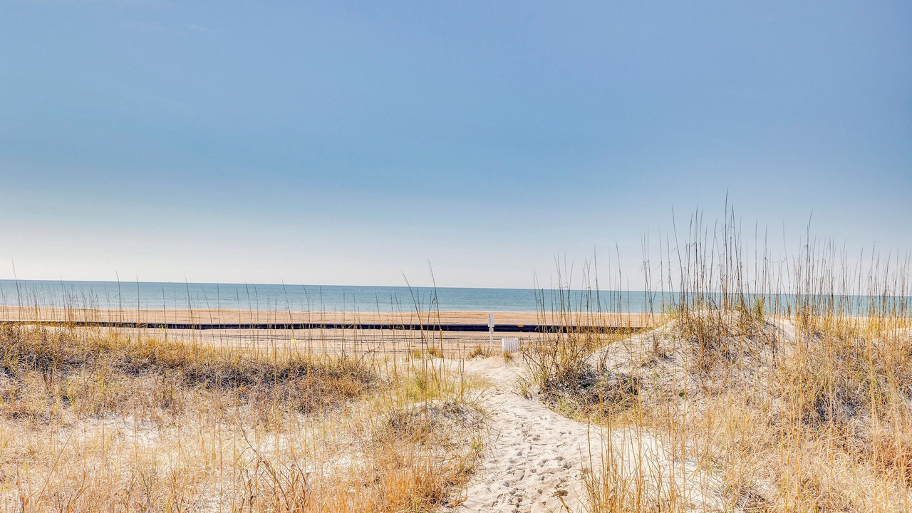 Photo of Others in Morehead City