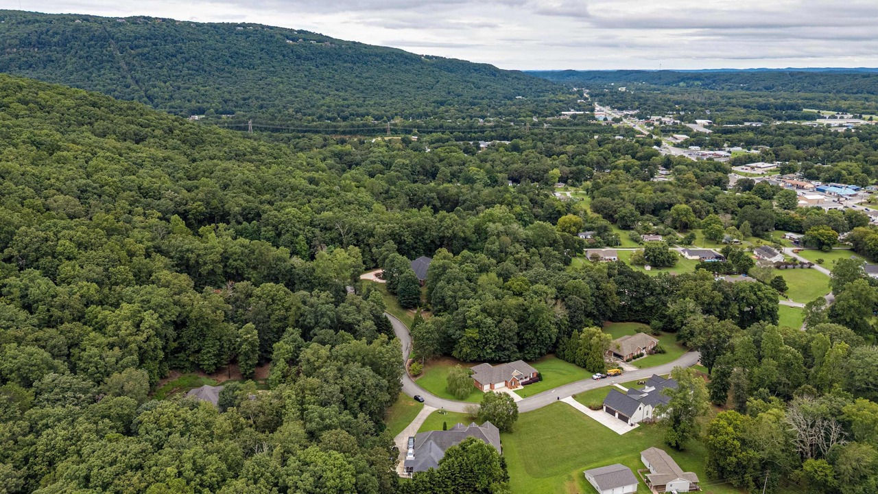 Photo of Outdoor in Soddy-Daisy