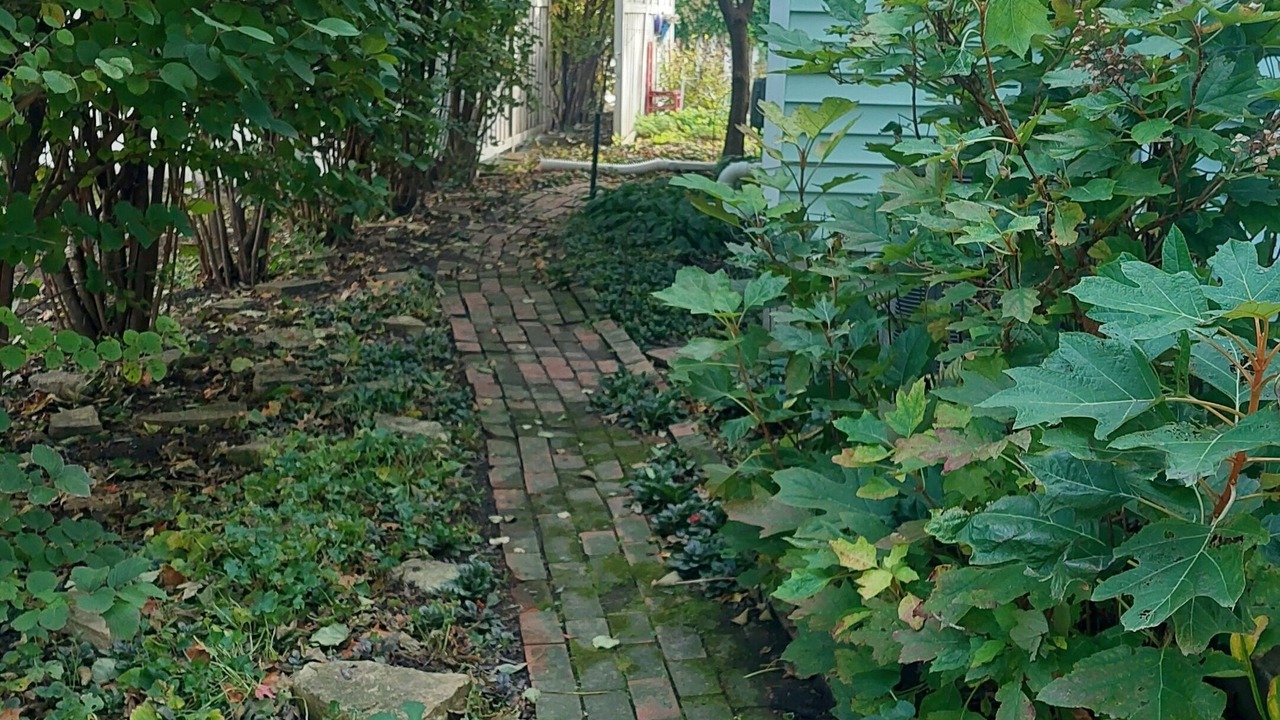 Photo of Outdoor in Rossville