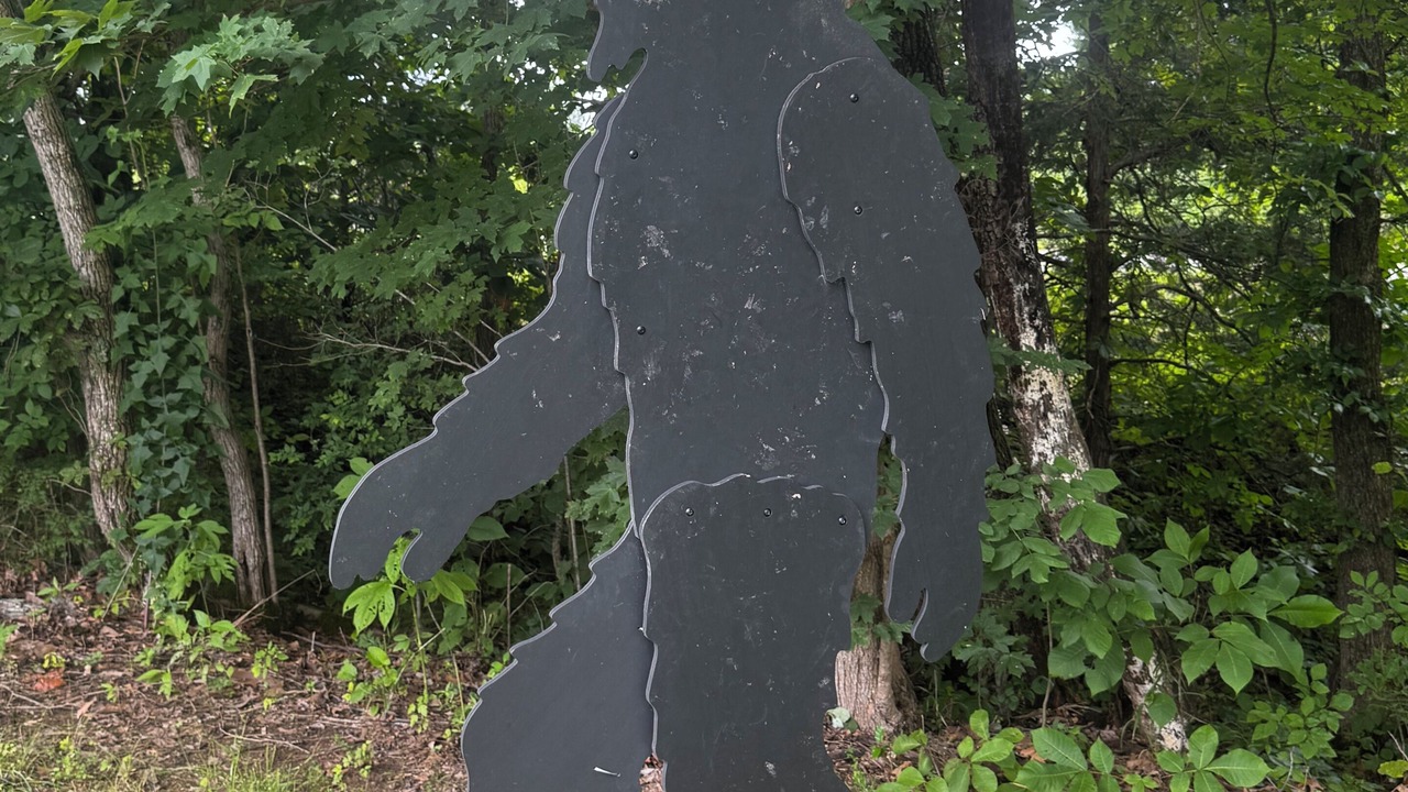 Photo of Outdoor in Simpson