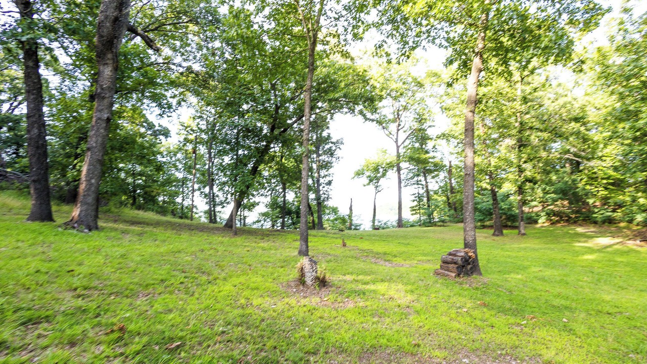 Photo of Others in Park Hill