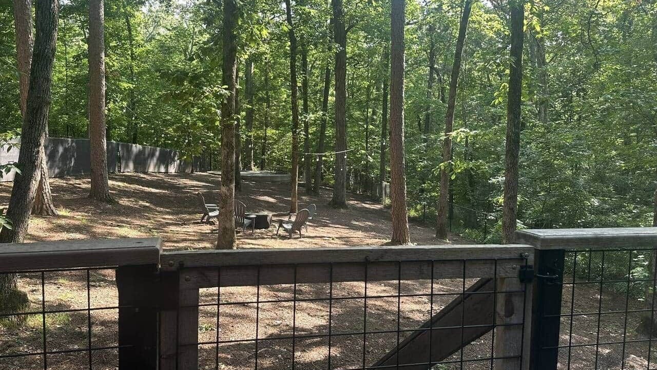 Photo of Outdoor in Counce