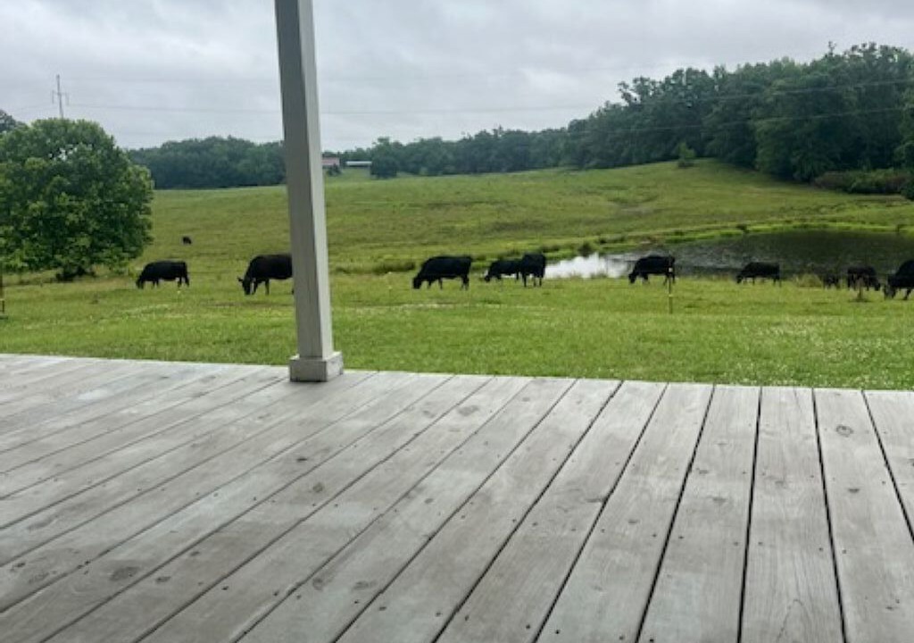 Photo of Outdoor in Adamsville