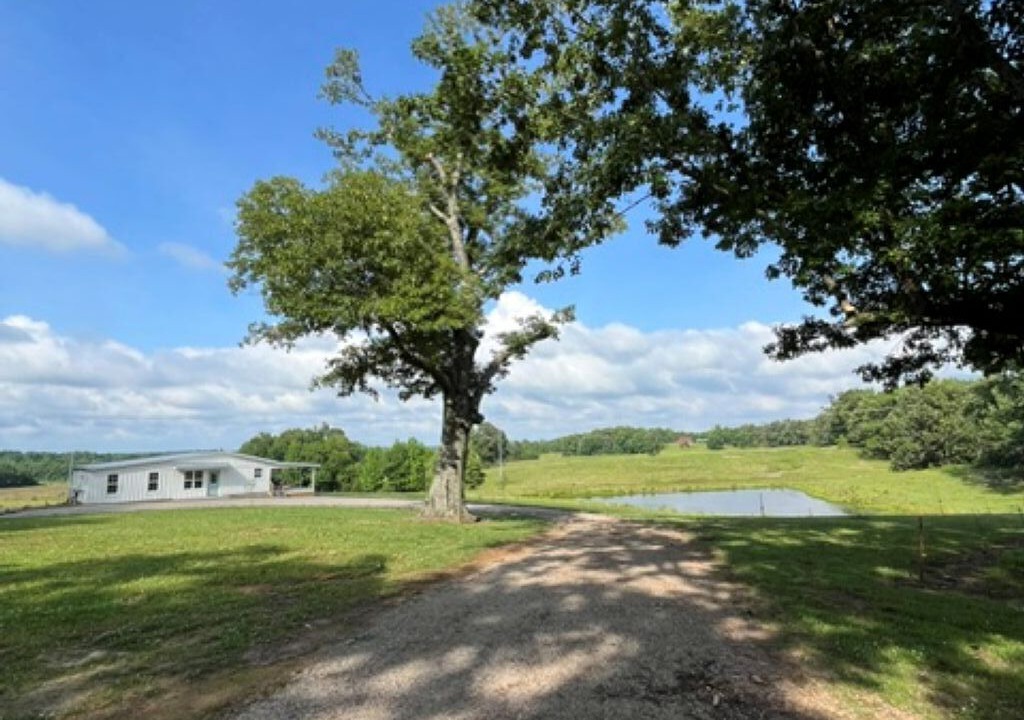 Photo of Others in Adamsville