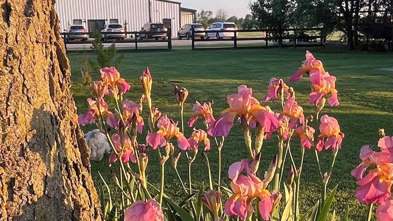 Photo of Outdoor in Bentonville