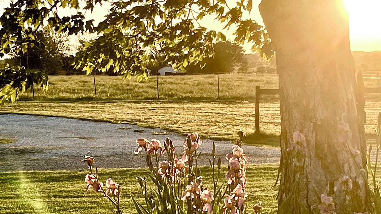 Photo of Outdoor in Bentonville