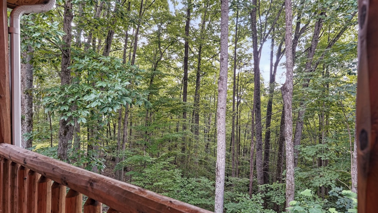 Photo of Outdoor in Smithville